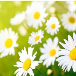 Meet your Posher, Nichole